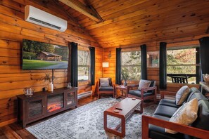 Smart TV, fireplace, video library