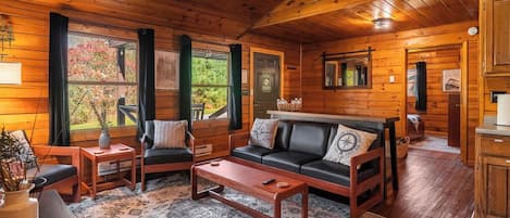 Smart TV, fireplace, video library