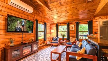 Smart TV, fireplace, video library