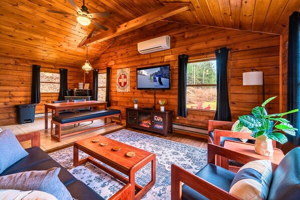 Smart TV, chimenea, videoteca