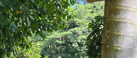 DĂ©tail de lâextĂ©rieur