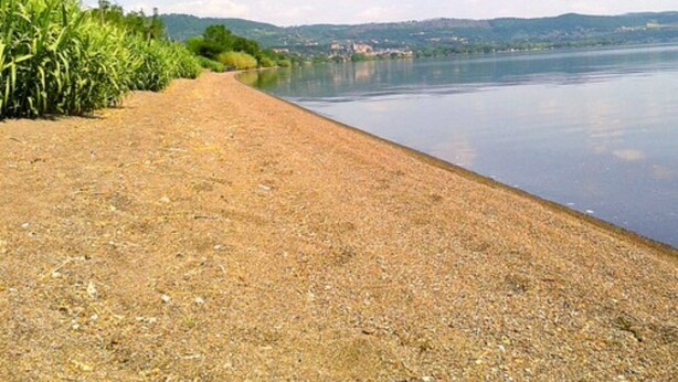 A lakeside view with a pebbly shore, distant buildings, and a clear sky. - Bungalow 'Camping Massimo -  2' with Lake View, Private Terrace and Private Garden (Bolsena)