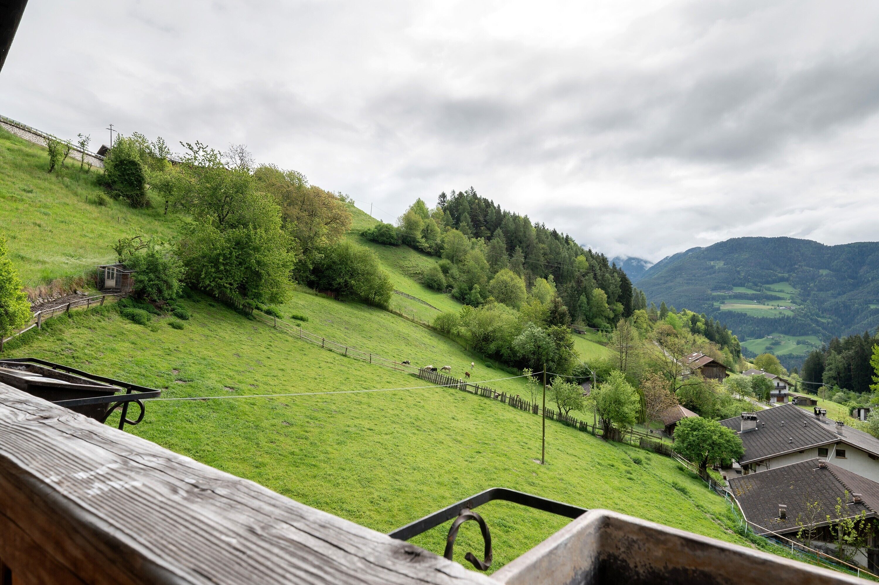 Parco della struttura