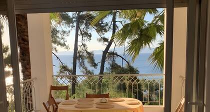 Villa 'Lesvos 30 Meters To The Sea' with Sea View, Wi-Fi and Air Conditioning