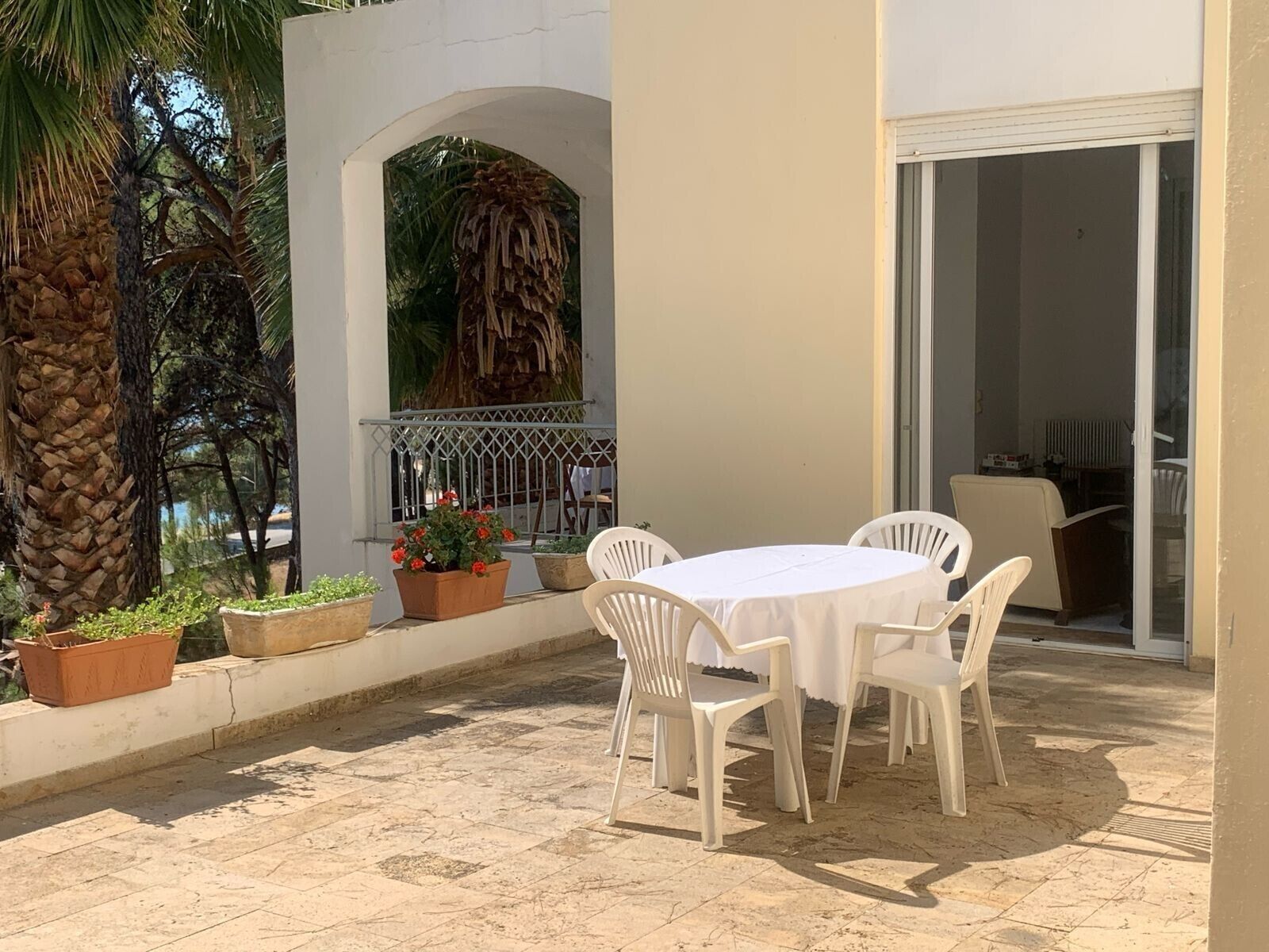 Un patio al aire libre con una mesa y sillas, rodeado de plantas en macetas y una palmera.
