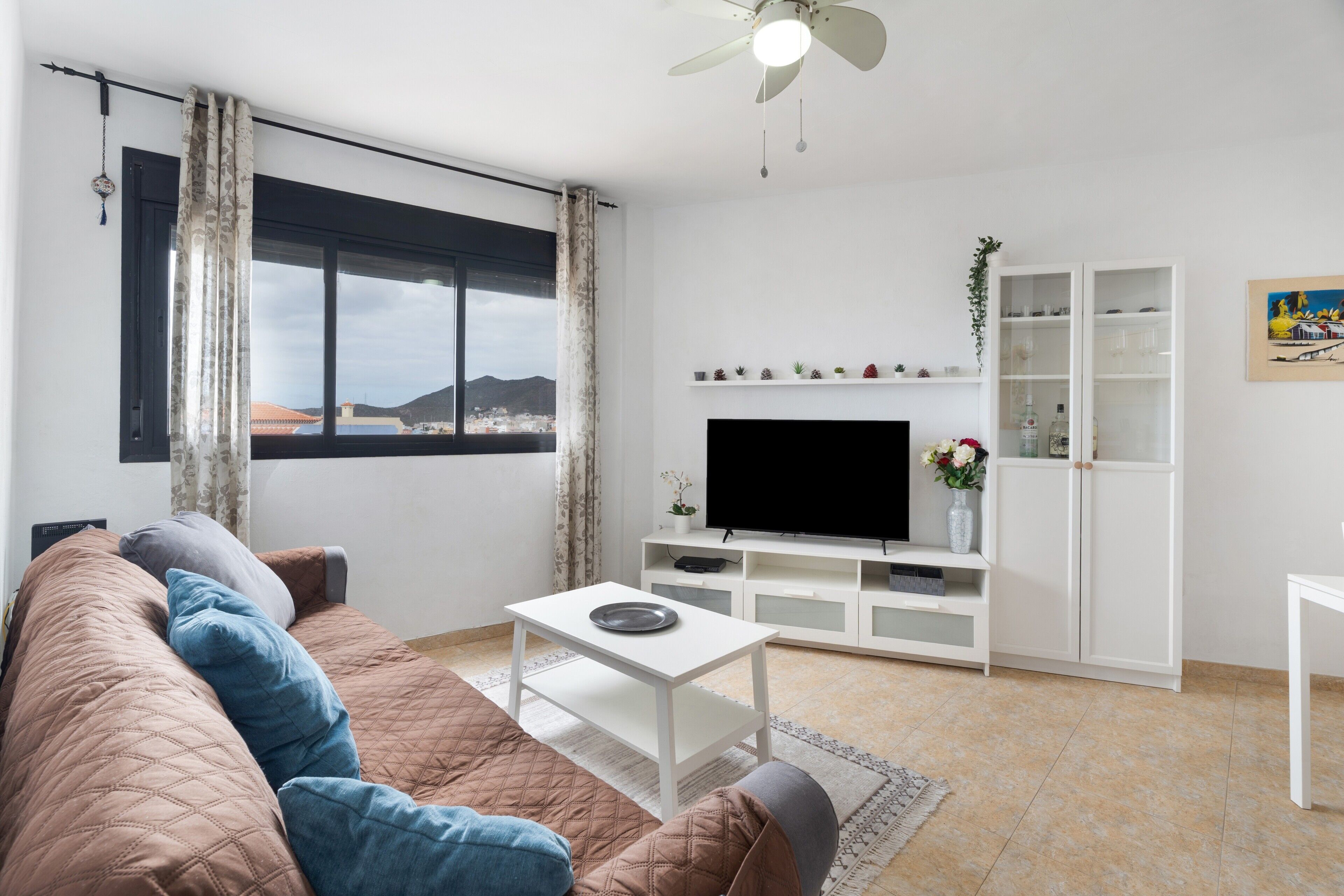 تلفزيون، مشغل دي في دي