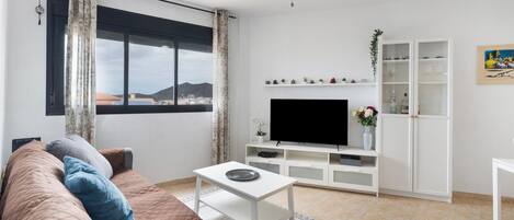 تلفزيون، مشغل دي في دي