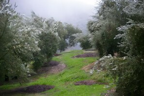 Property grounds - Holiday Home 'Finca Rústica La Pájara' with Mountain View, Pool and Wi-Fi (Villanueva del Arzobispo)