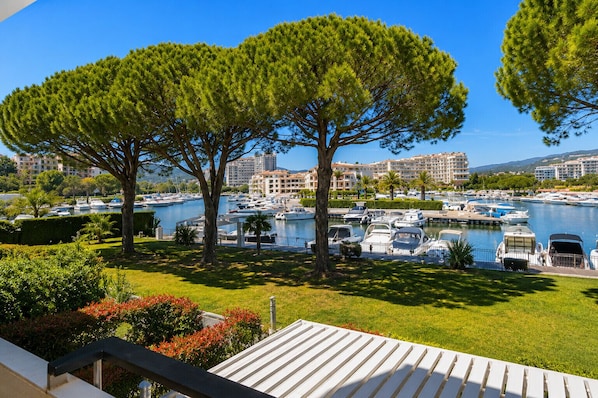 A marina with boats, a grassy area with trees, and buildings in the background.