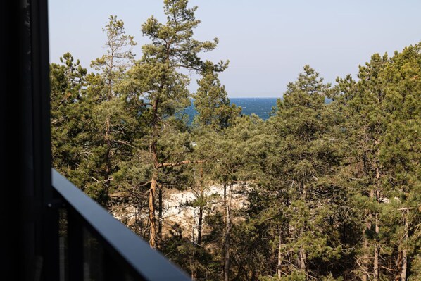 公寓 | 1 間睡房