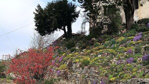 Ein Hanggarten mit verschiedenen bunten Blumen und einer Steintreppe, die nach oben führt.