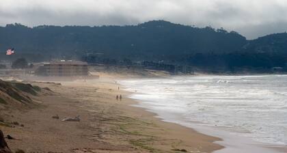 Brand New Peaceful 2-bedroom Apartment Near Beach/Shopping