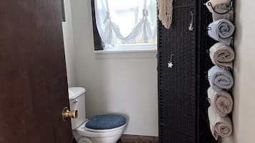 Ducha, secador de pelo, toallas, jabón