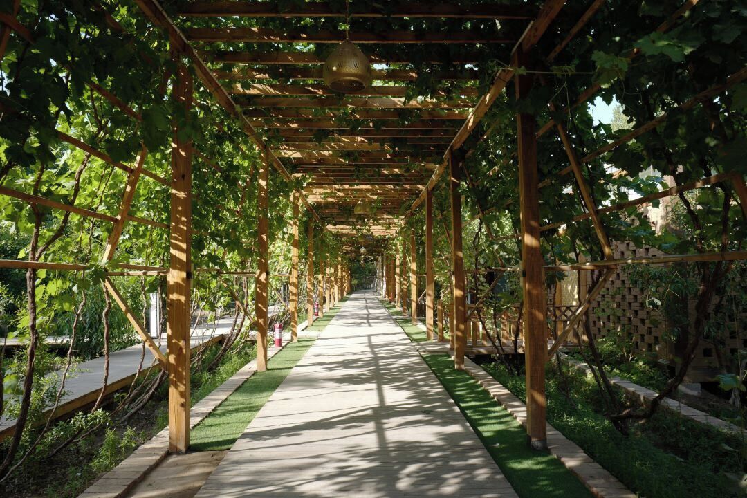 A covered walkway with wooden beams and vines, surrounded by greenery.