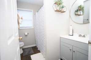 Shower, hair dryer, bidet, towels