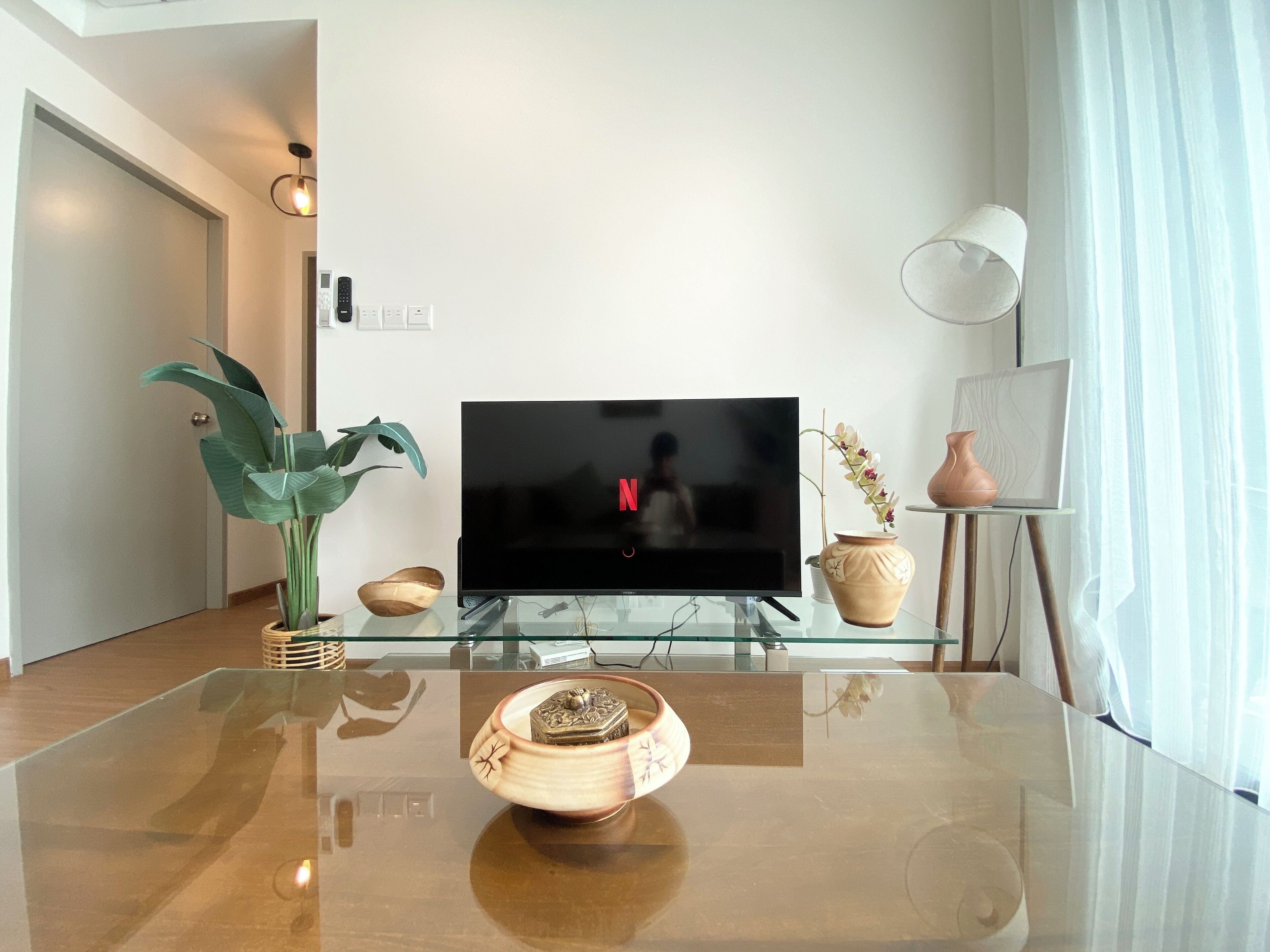 A modern living room with a flat-screen TV on a glass table, surrounded by decorative items and plants.