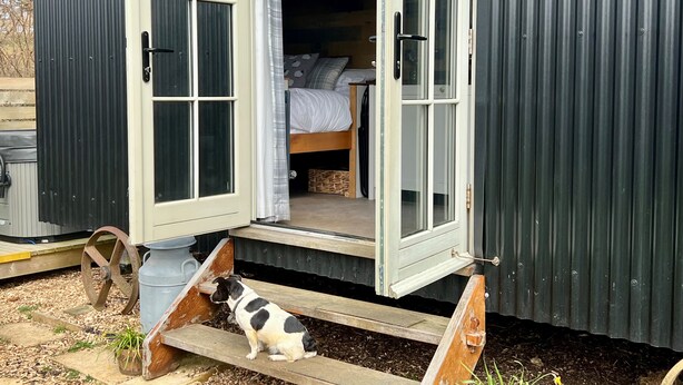 Eine kleine, offene Konstruktion mit einem Bett darin, einem Hund davor und einer Holzrampe, die zum Eingang führt.