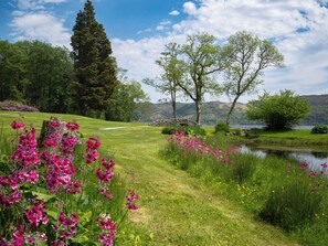 A serene landscape with a grassy path, a pond, and trees.