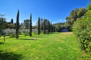 Property grounds - Piccola Fattoria, Massa Marittima, Italy (Massa Marittima)