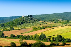 A rural landscape with rolling hills, scattered trees, and a few buildings. - Piccola Fattoria, Massa Marittima, Italy (Massa Marittima)
