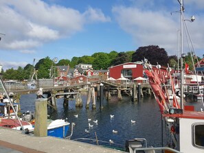 House | Marina - Sonnenblick Comfortable Holiday Residence (Eckernfoerde)