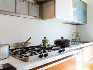 Fridge, oven, dishwasher, cookware/dishes/utensils