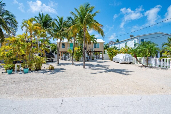 Luokittelematon kuva, 1 kautta 49, painike