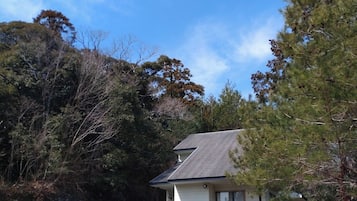 Udendørsområde