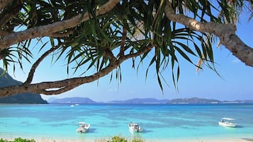 Playa
