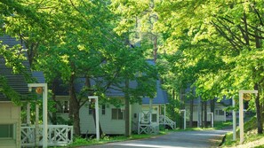 Boendeområde