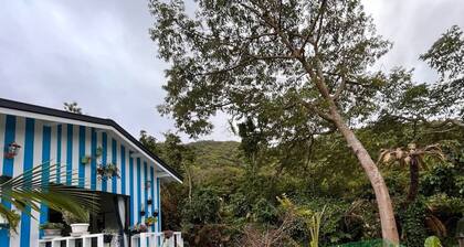 Buena Vista Villa Amami / Oshima-gun Kagoshima