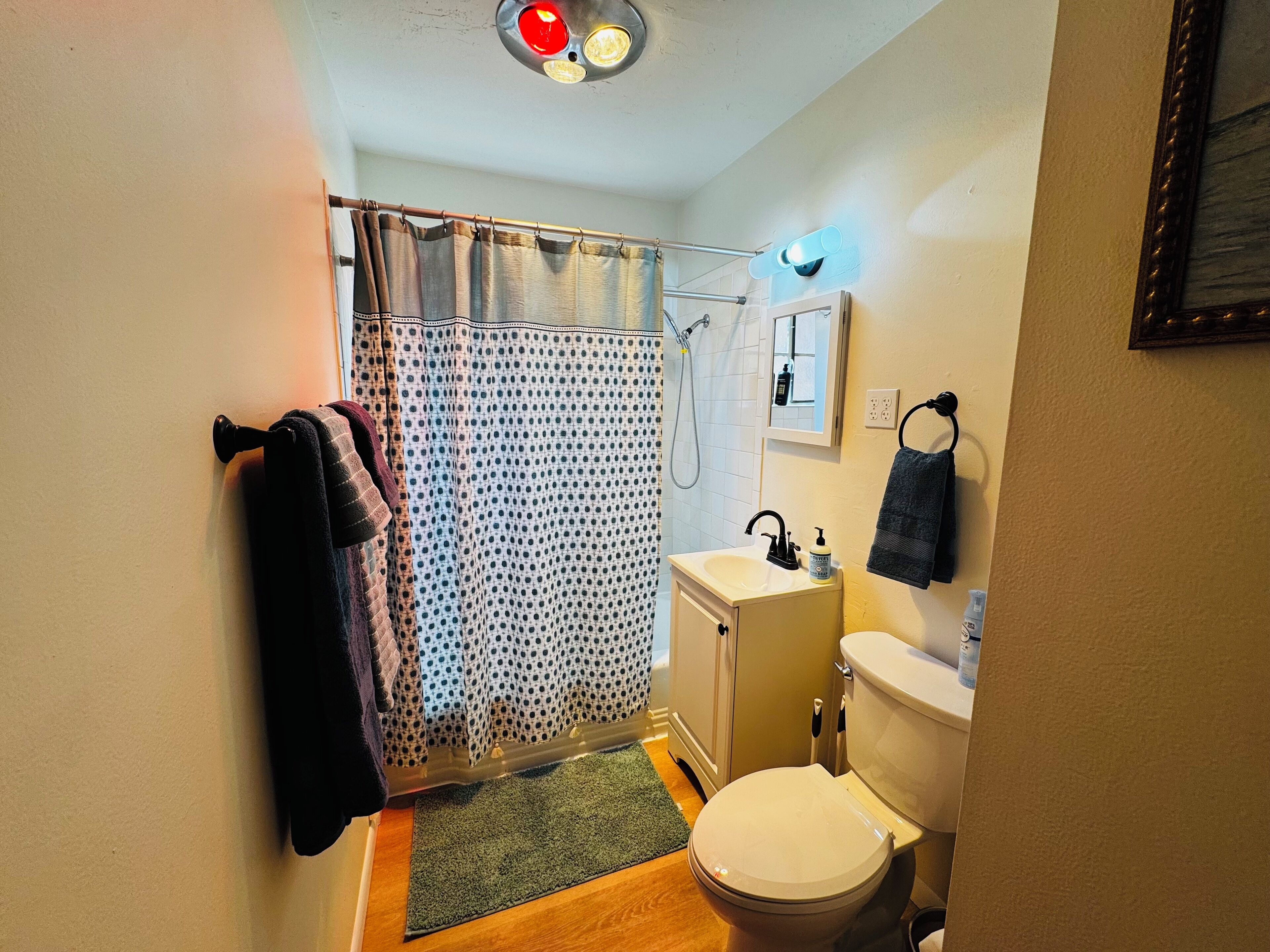 Une petite salle de bain avec un rideau de douche, des toilettes, un lavabo et un miroir.
