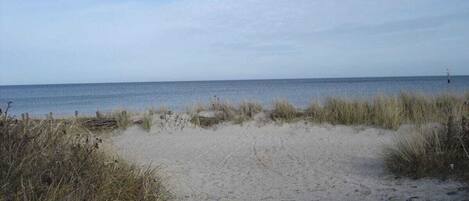 Talo | Ranta