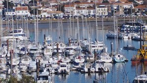 A marina with numerous boats docked, surrounded by residential buildings.
