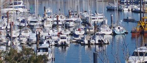 Marina