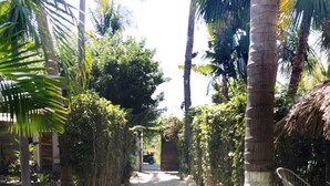 Unclassified image, 3 of 17, button - HP V BEACH HOUSE (Brisas de Zicatela)
