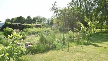House | Property grounds