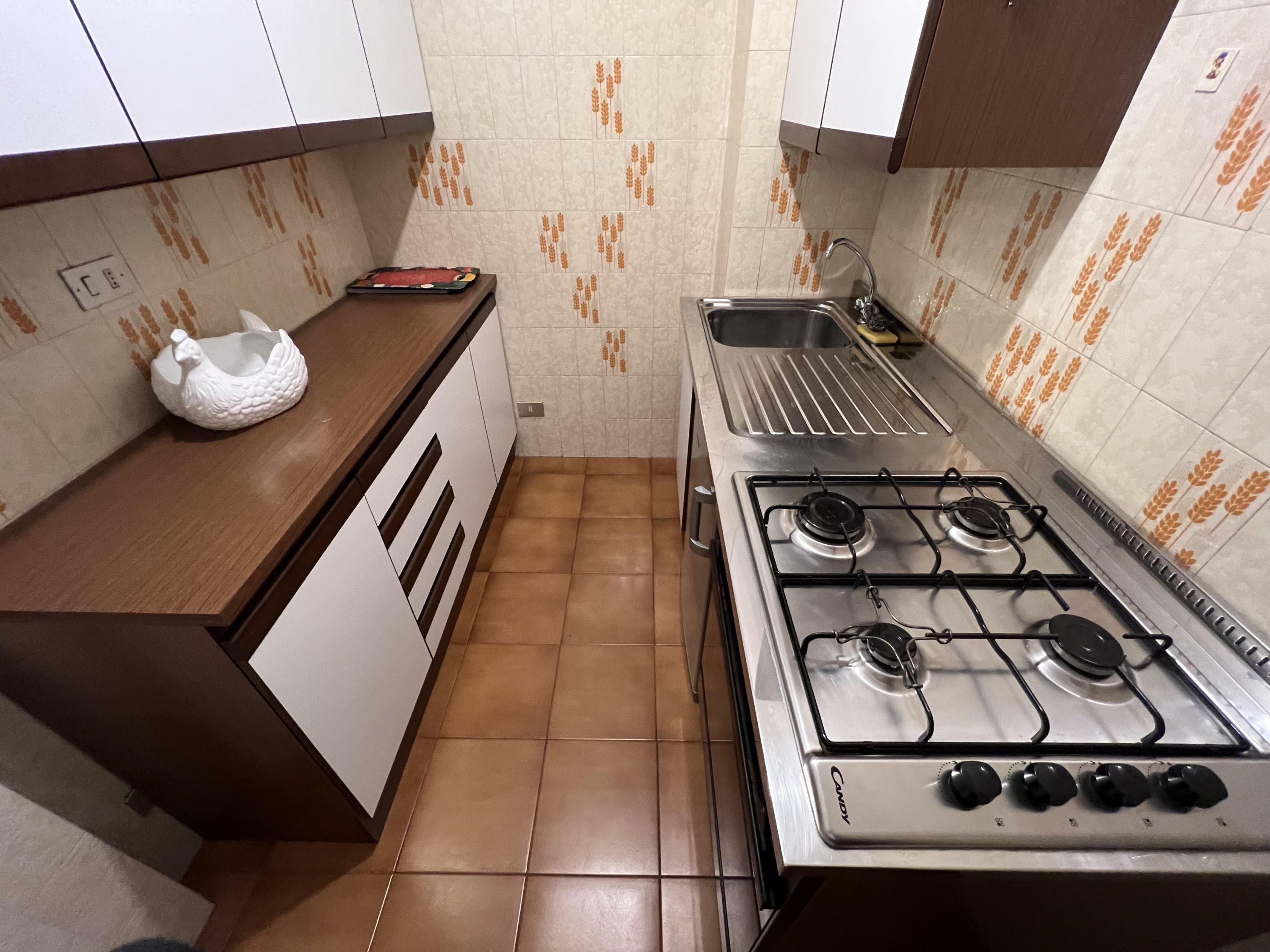 A compact kitchen with a gas stove, a sink, and a decorative white bird on the counter.