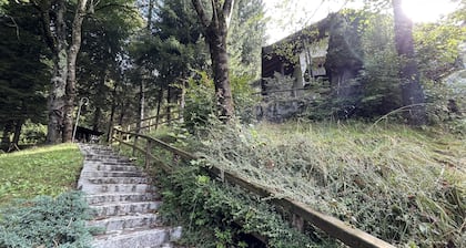 043 Trilocale nel Bosco Pinzolo