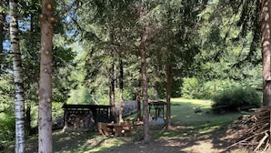 A forested campsite with a wooden shelter and picnic table.