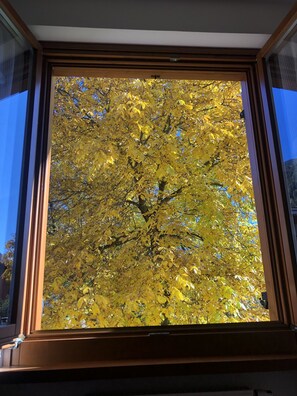 A window with a view of a tree with yellow leaves. - 012 Trilocale a due Passi Dagli Impianti Pinzolo (Carisolo)
