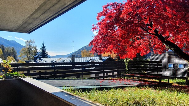 A traditional Japanese building with a tiled roof, surrounded by a wooden fence and a red maple tree.