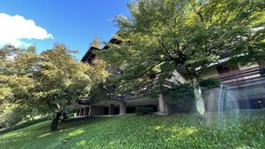 A building with multiple balconies and a lush green lawn.