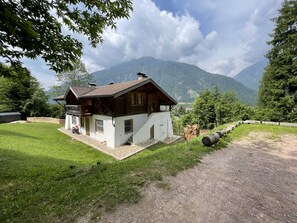 1 bedroom - 096 Bilocale Immerso nel Verde Pinzolo (Pinzolo)