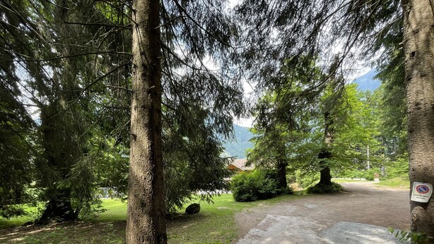 A private parking area with a gravel path leading to a building, surrounded by dense trees and a mountain in the background.