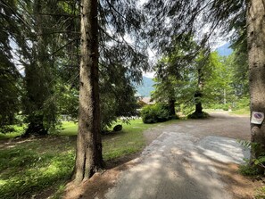 Un'area di parcheggio privata con un vialetto sterrato che conduce a un edificio, circondata da alberi fitti e una montagna sullo sfondo.