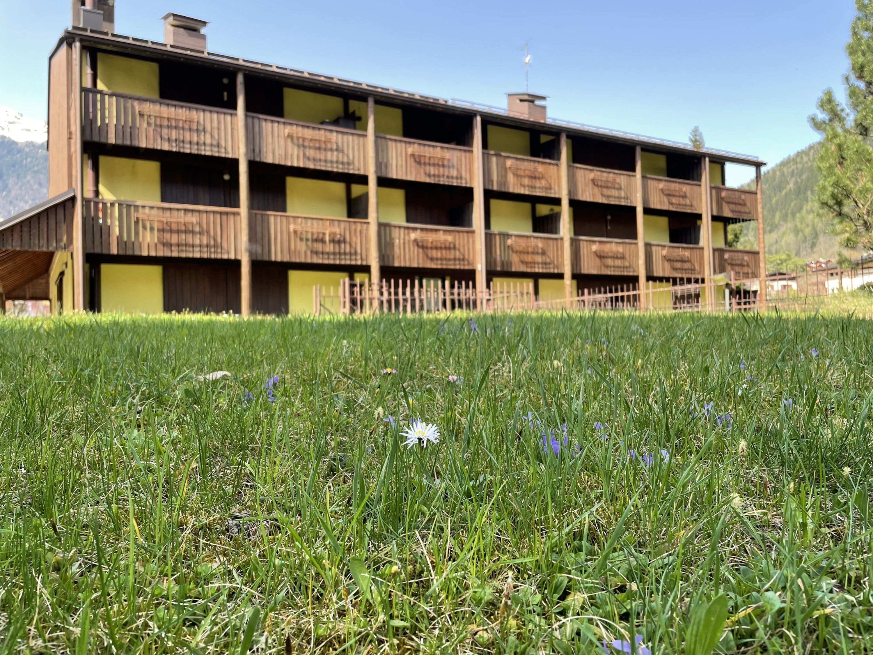 A multi-story building with balconies, surrounded by a grassy area with flowers.