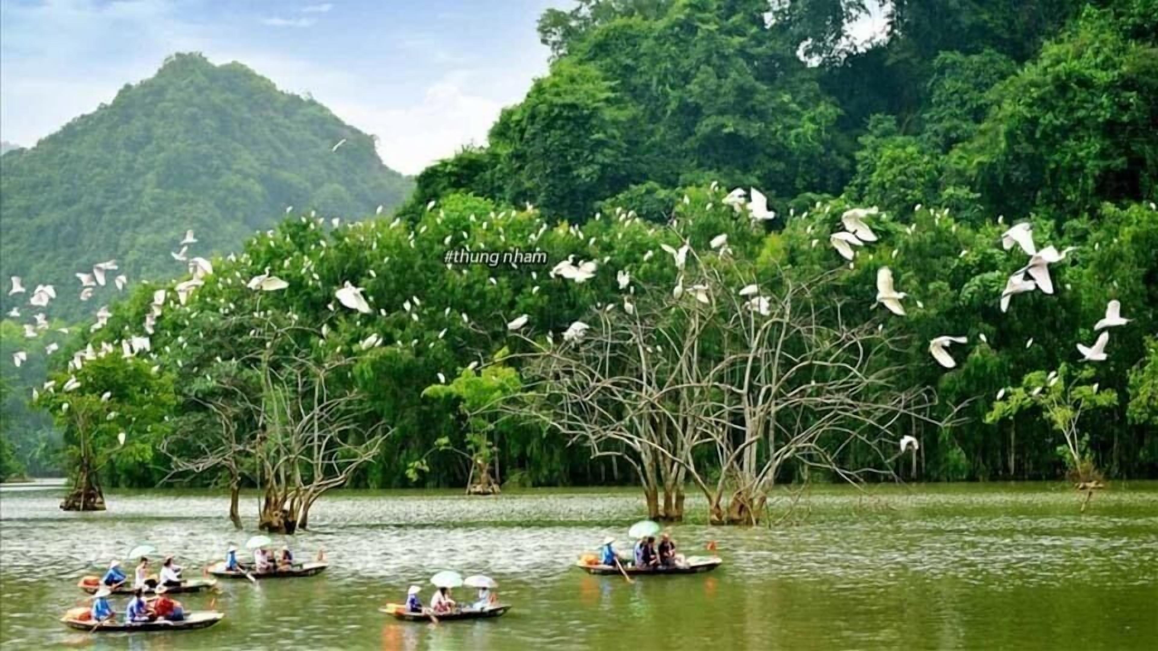 Un río con barcos y gente, rodeado de vegetación exuberante y árboles.