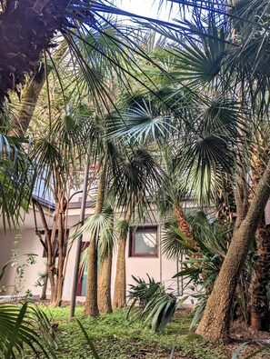 Details aan de buitenkant