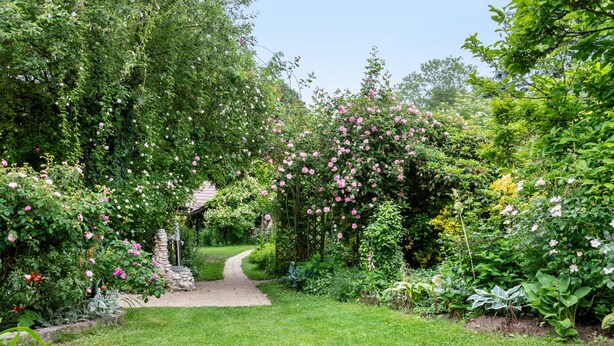 A garden pathway surrounded by lush greenery and flowering plants. - Apartment 'Landlust' with Shared Terrace, Shared Garden and Wi-Fi (Neudrossenfeld)